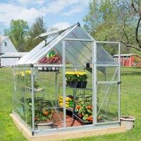 Palram Hybrid 6X8- Silver