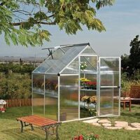 Palram Mythos 6X4- Silver