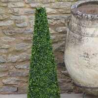 Smart Garden Boxwood Obelisk 60Cm